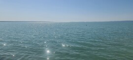 Balatonaliga