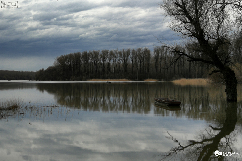 Áradó Tisza-holtág, Mártély