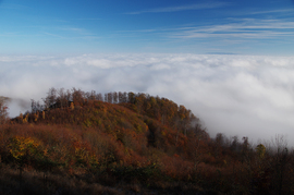 Galambos-kő