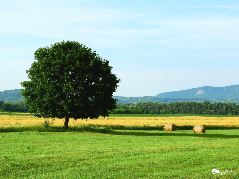 A határban