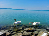 Balatonszabadi