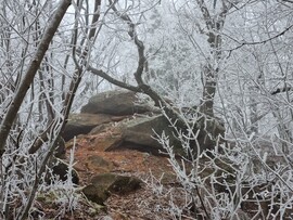 Pilisborosjenő