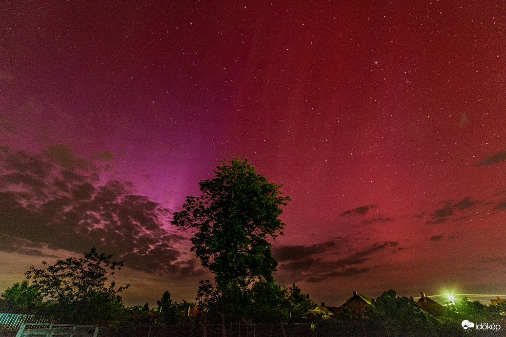 Sarki fény a fa mögött