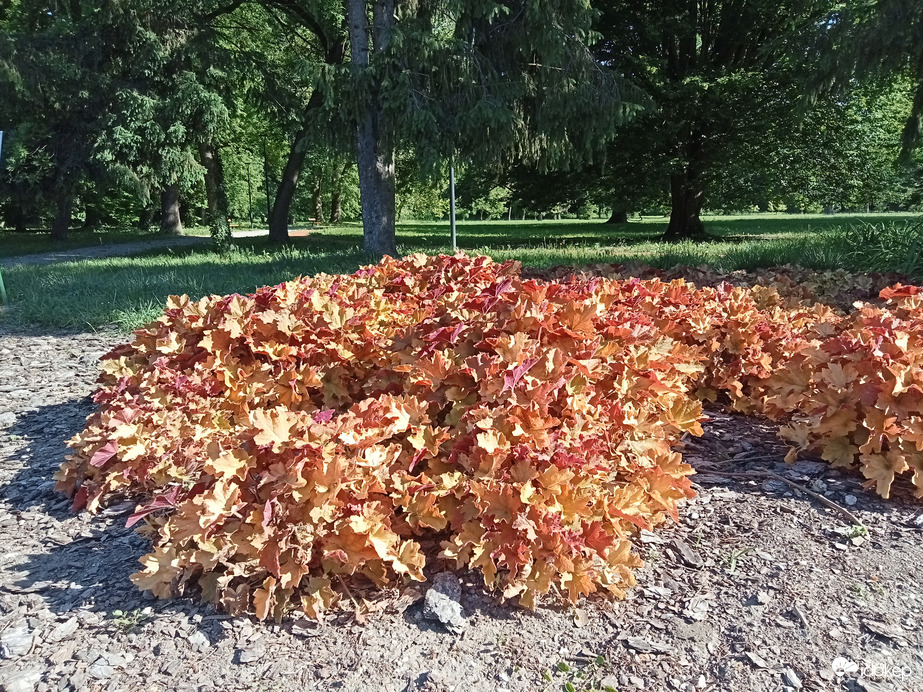 Szigetvári park