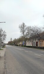 Szarvas