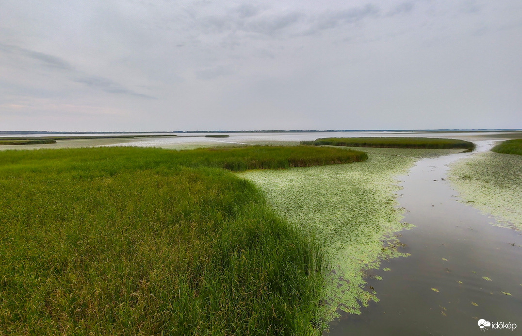 Tisza-tó