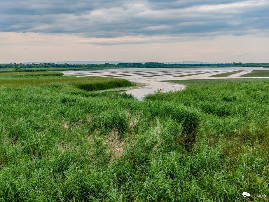 Tisza-tó