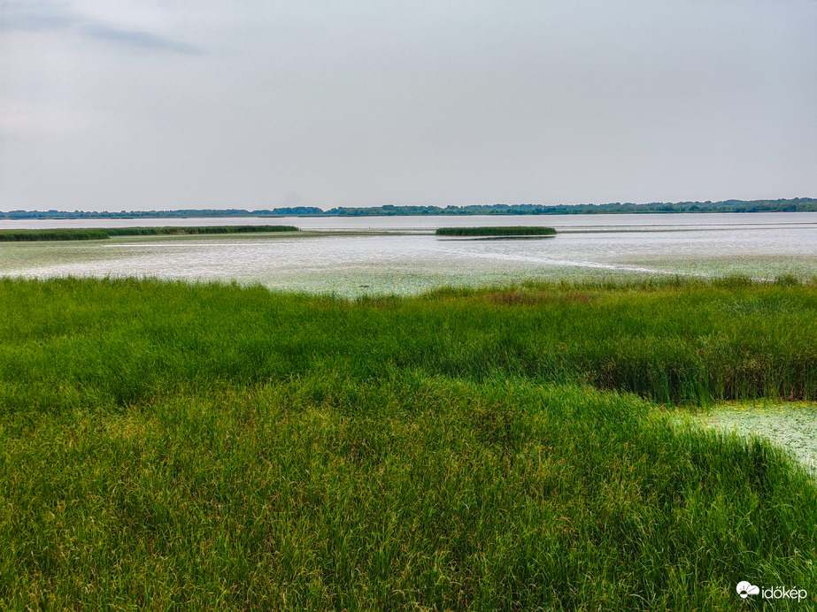 Tisza-tó