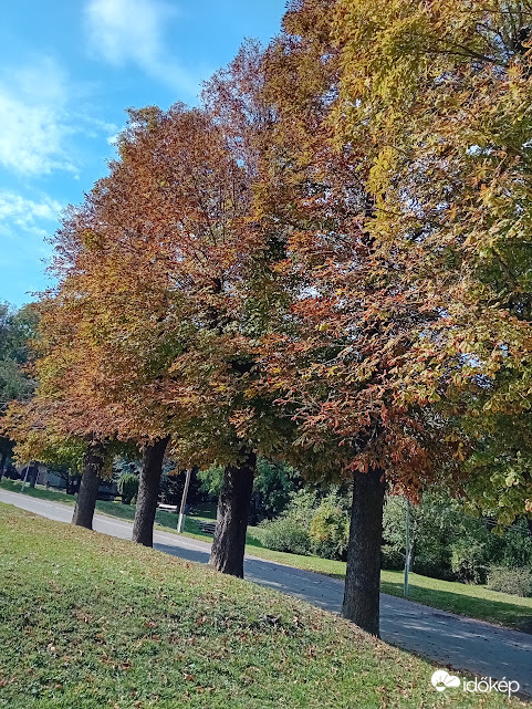 Törökbálint tüdőgyógy.