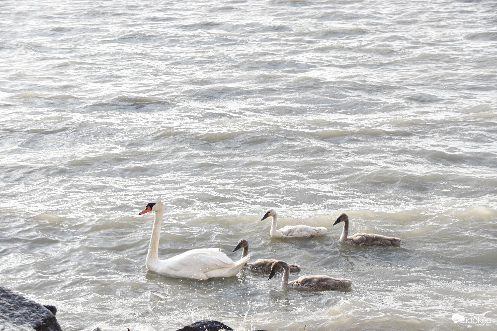 Balatonszemes