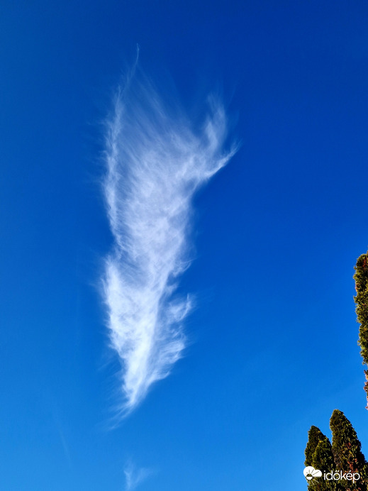 Cirrus felhő, tollpihének álcázva :) 