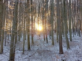 Korai naplemente a Bükkben 1.