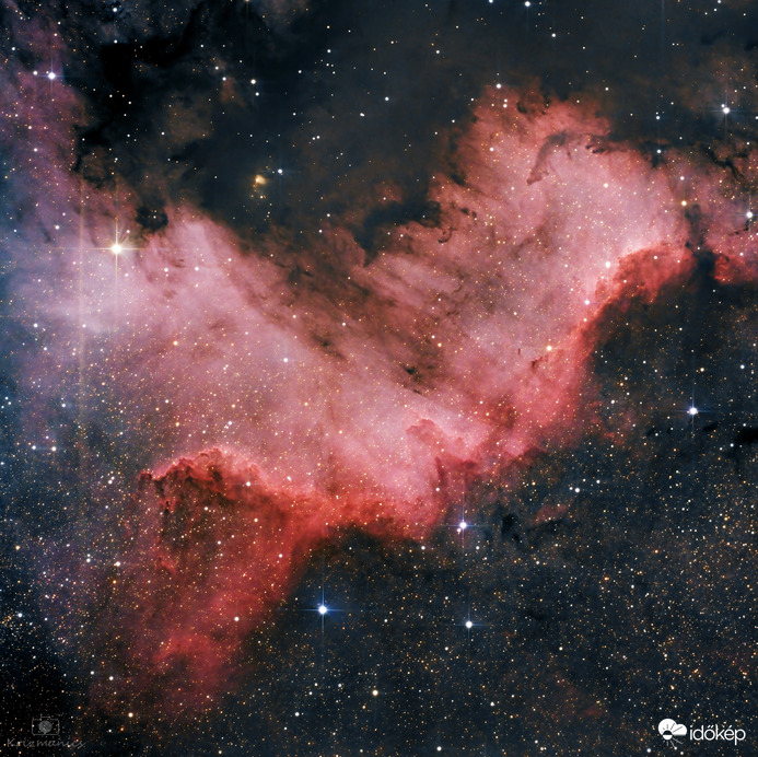 NGC7000 Wall