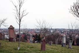 Füred a papsokai öreg temetőből 