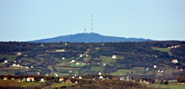 Panoráma