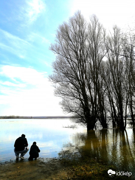 Tisza