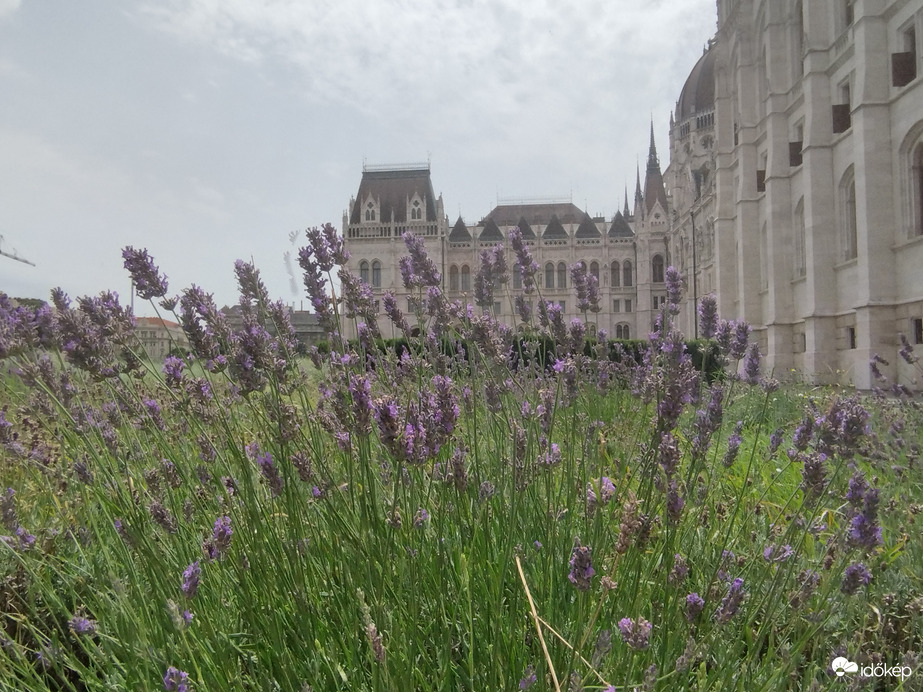 Budapest