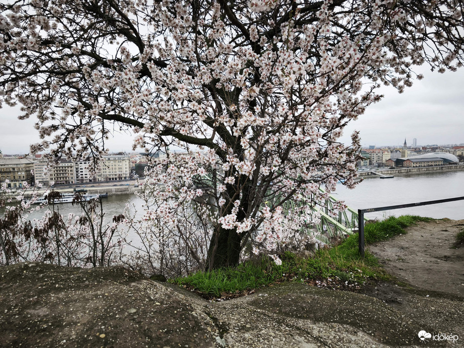 Budapest