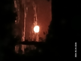 A hold ilyen gyönyörű ma este.