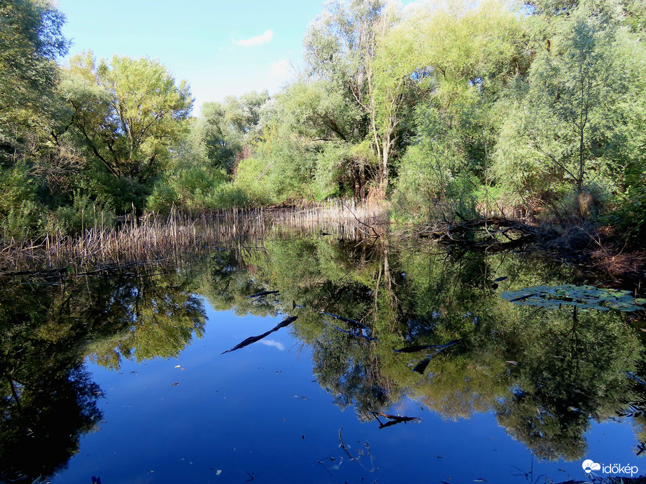 Potyondi-mocsár, Szombathely