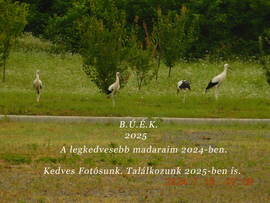 B.Ú.É.K. 2025. Találkozunk 2025-ben is.