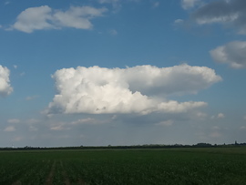 Felhők a mező felett