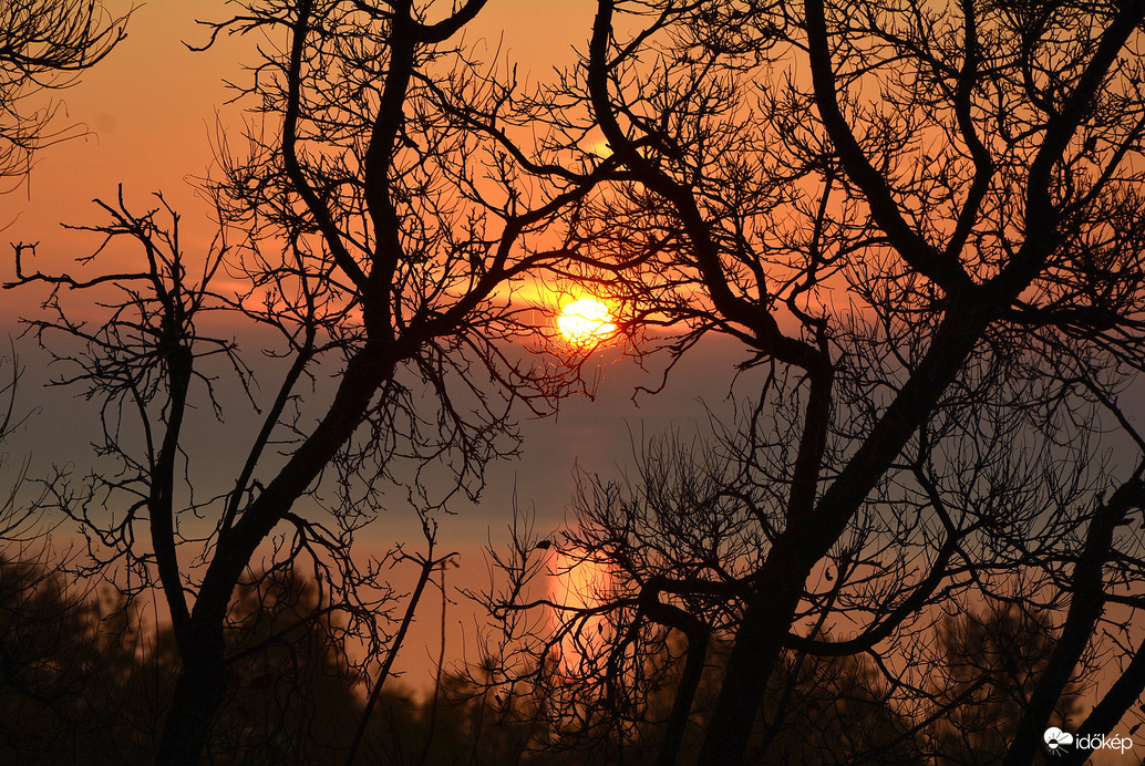 Ködös napkelte Balatongyörökön 11.16.