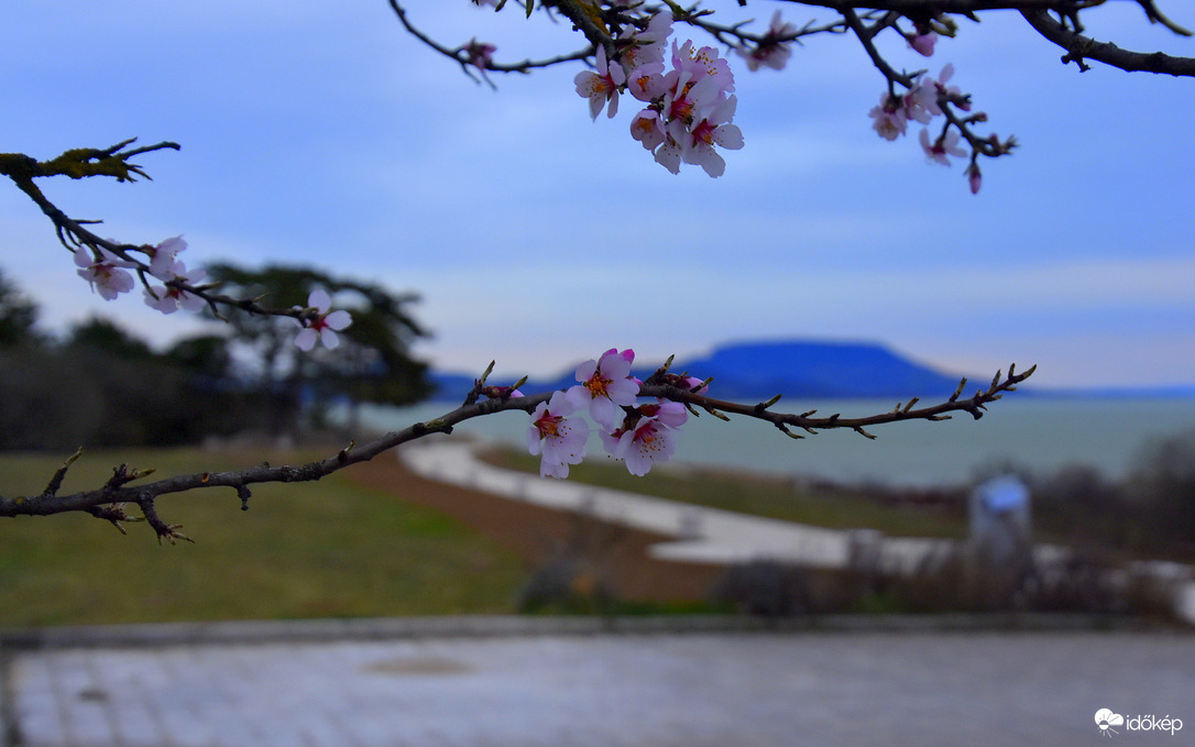 Szeles, hűvös idő Balatongyörökön 03.15.