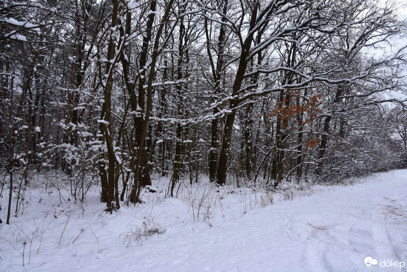 Kőszeg 01.17.