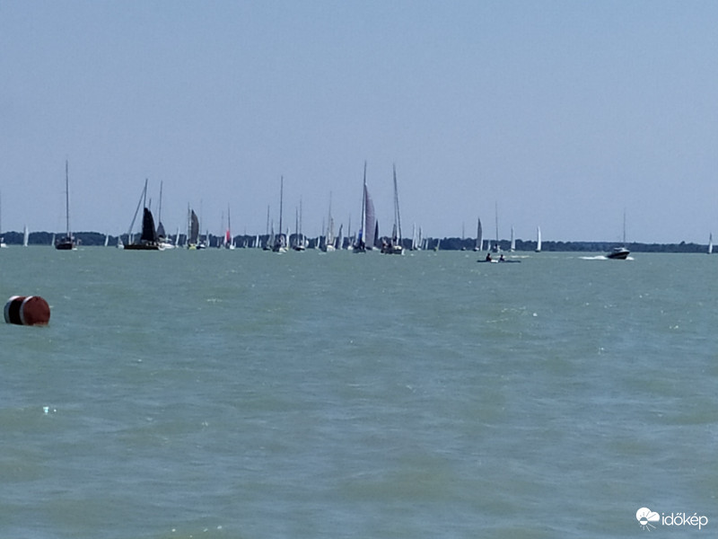 Pünkösdi Regatta