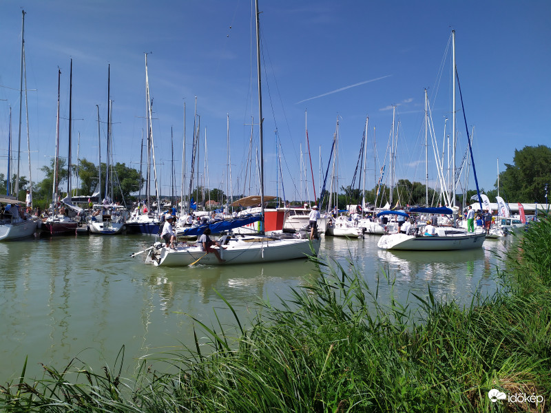 Pünkösdi Regatta