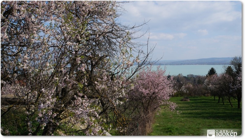 Kilátás a Balatonra