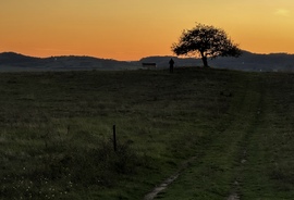 Kikapcsolati tőke