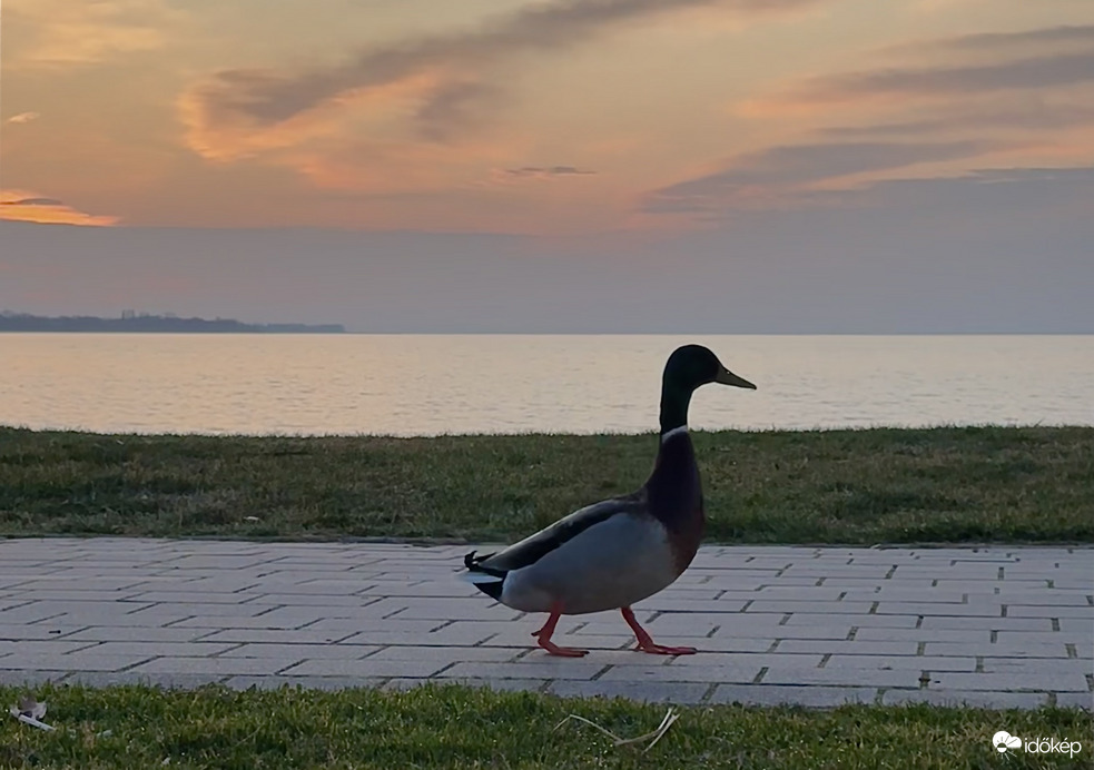 Gyorsan megyek egy kört