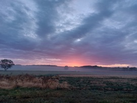 Októberi reggel