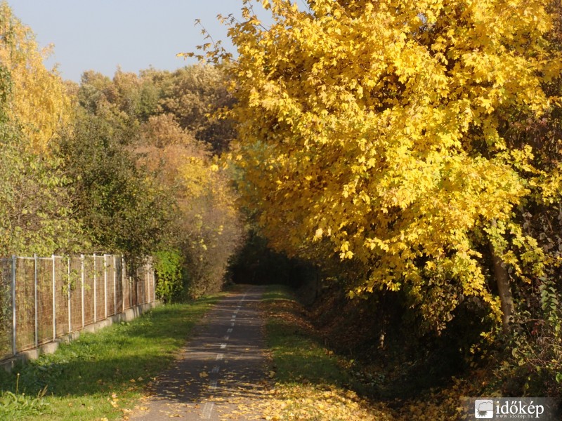 Felsőtárkány