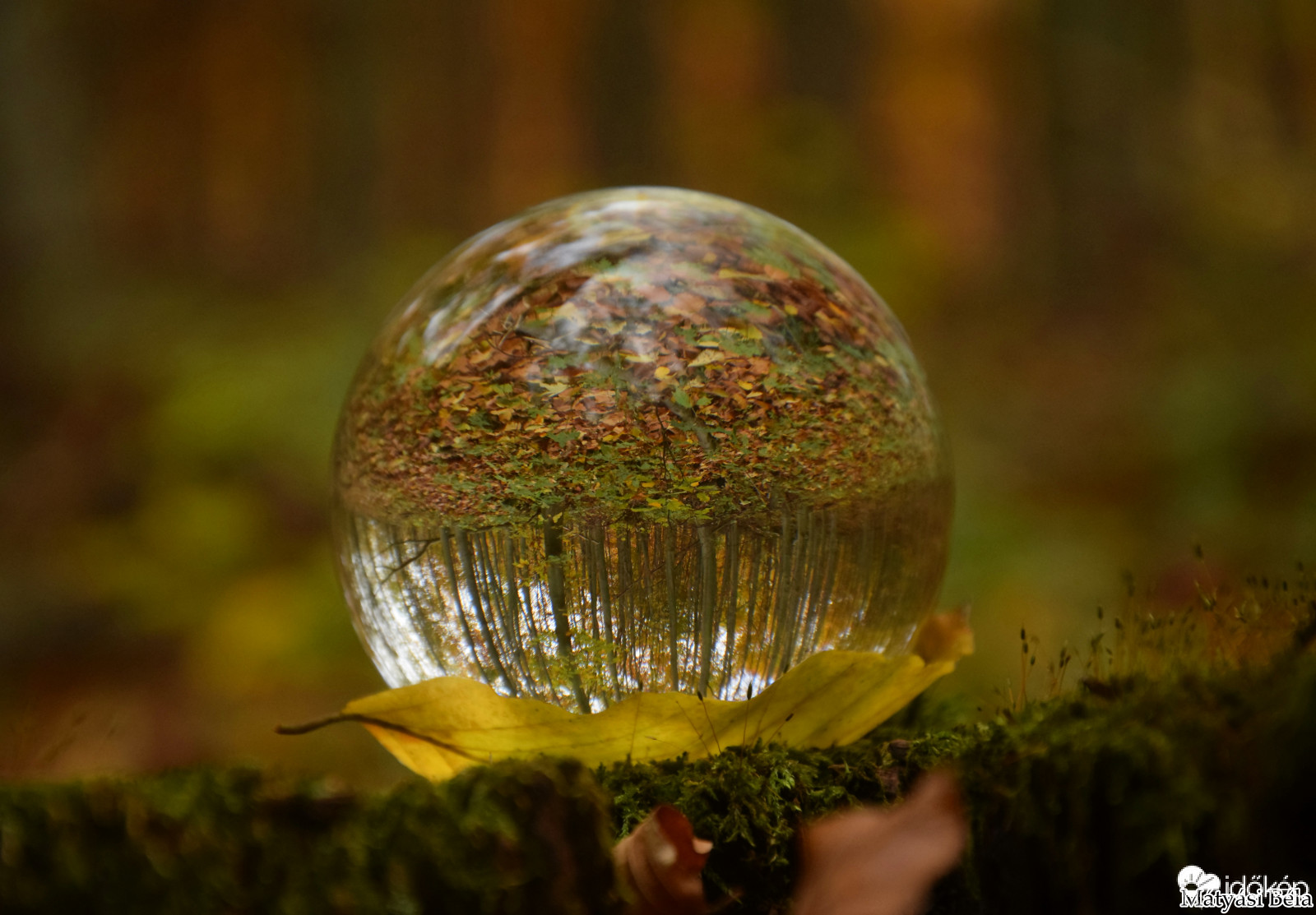 Lensball - Bükkben..