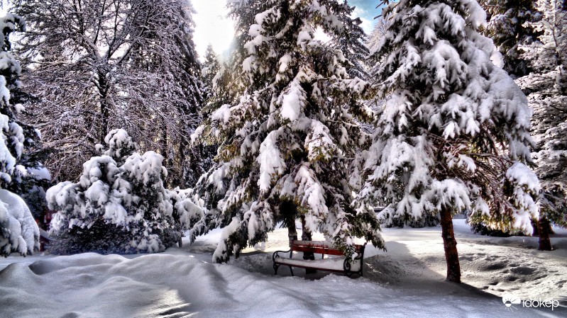 Palotaszálló park.