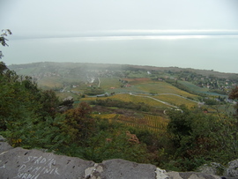 Badacsonyi panoráma