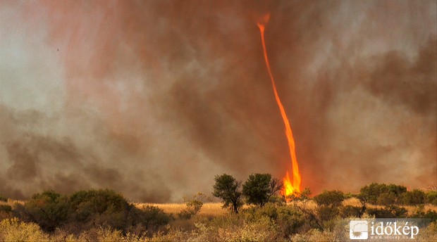 Fire tornado 1