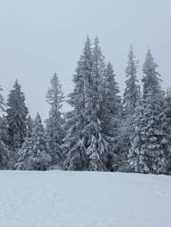 Zakopane 