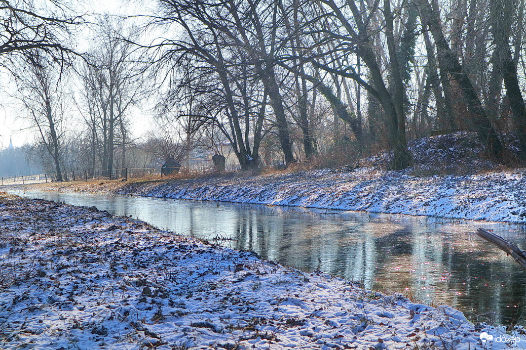 Láperdőn