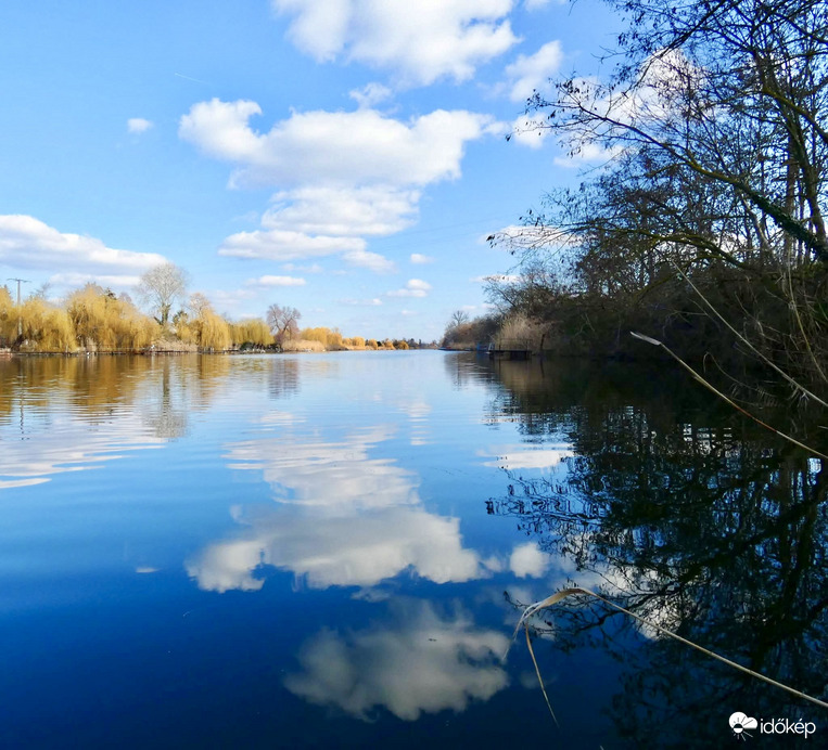 Holt-Tisza