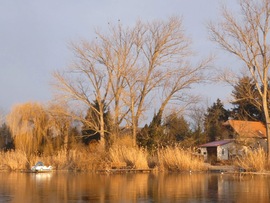 A Holt- Tisza ébredése