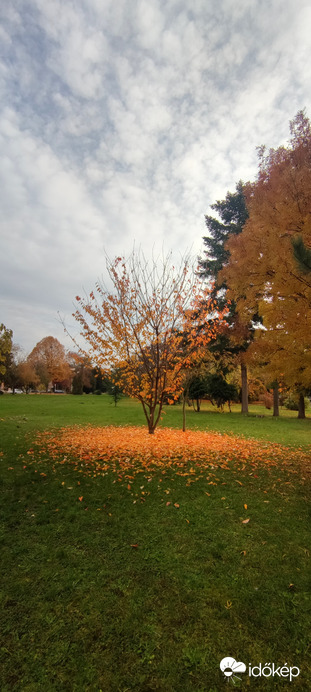 Dr. Peja Győző emlékpark