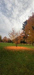 Dr. Peja Győző emlékpark