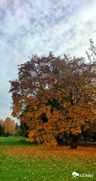 Dr. Peja Győző emlékpark