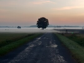 Nagykanizsa