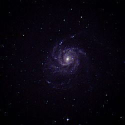 M101-2023 (1st try)