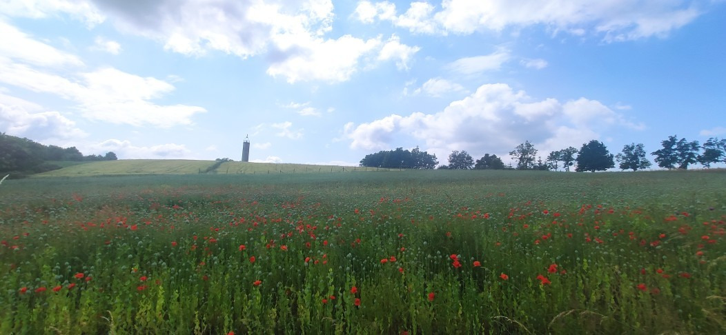 Bocfölde